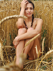 Sofi A shows off her large, natural breasts in a field - Pics