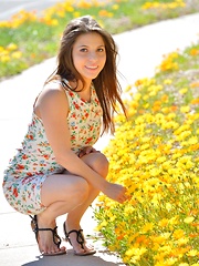 Stacey Spring Flowers - Pics